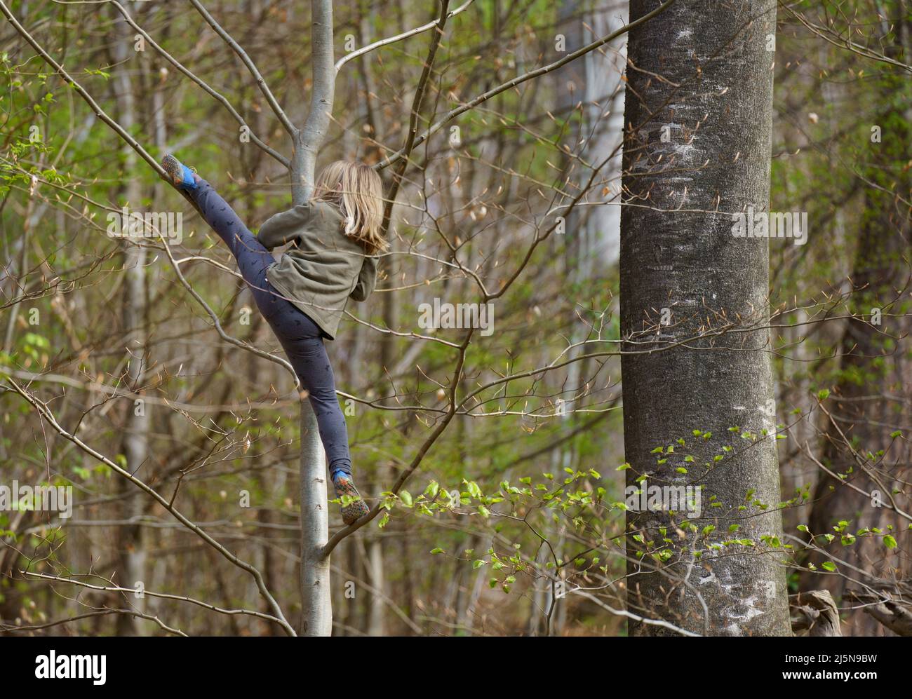 13 April 2022, Hessen, Büdingen: A child climbs a tree in the forest