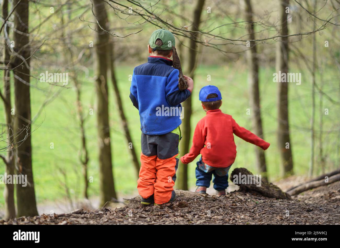 13 April 2022, Hessen, Büdingen: Children play in the forest on the