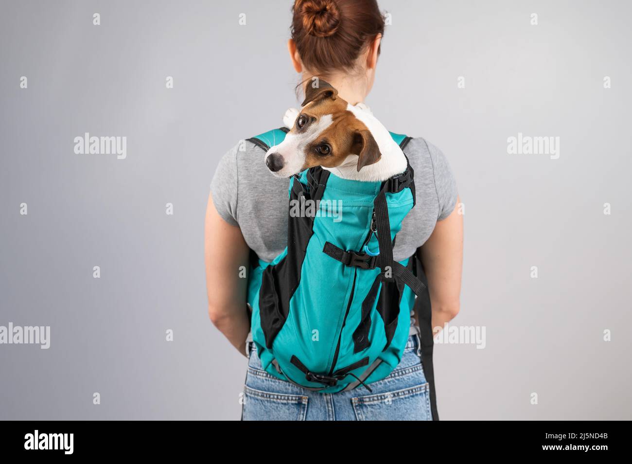 Jack Russell Backpack Jack Russell Backpack