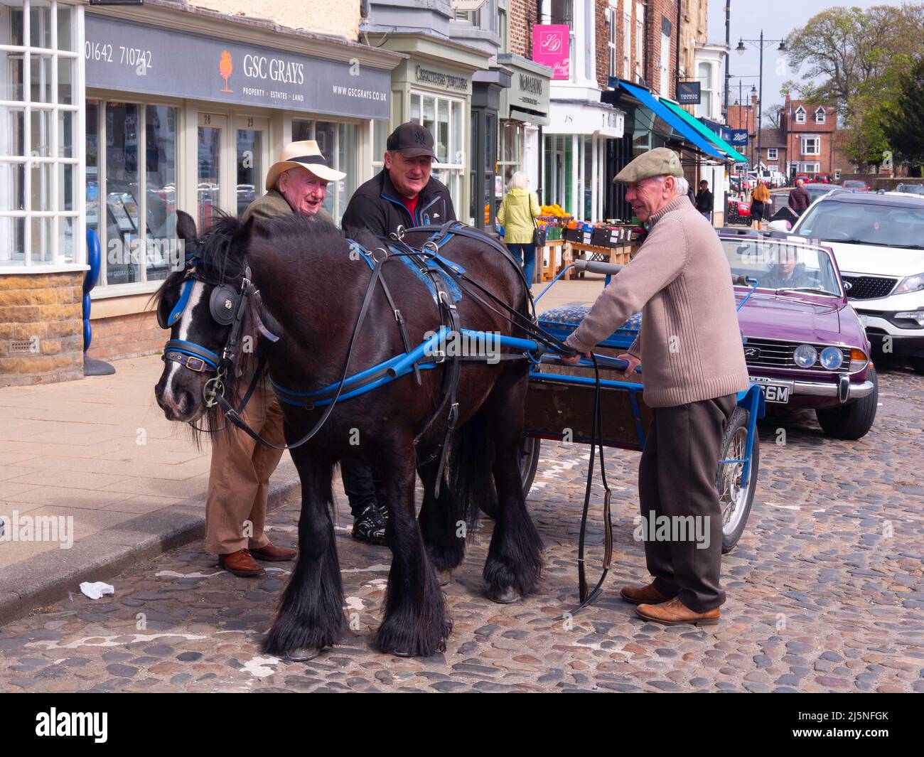 Three men in Stokesley town centre North Yorkshire with a black horse and a trotting cart Stock Photo