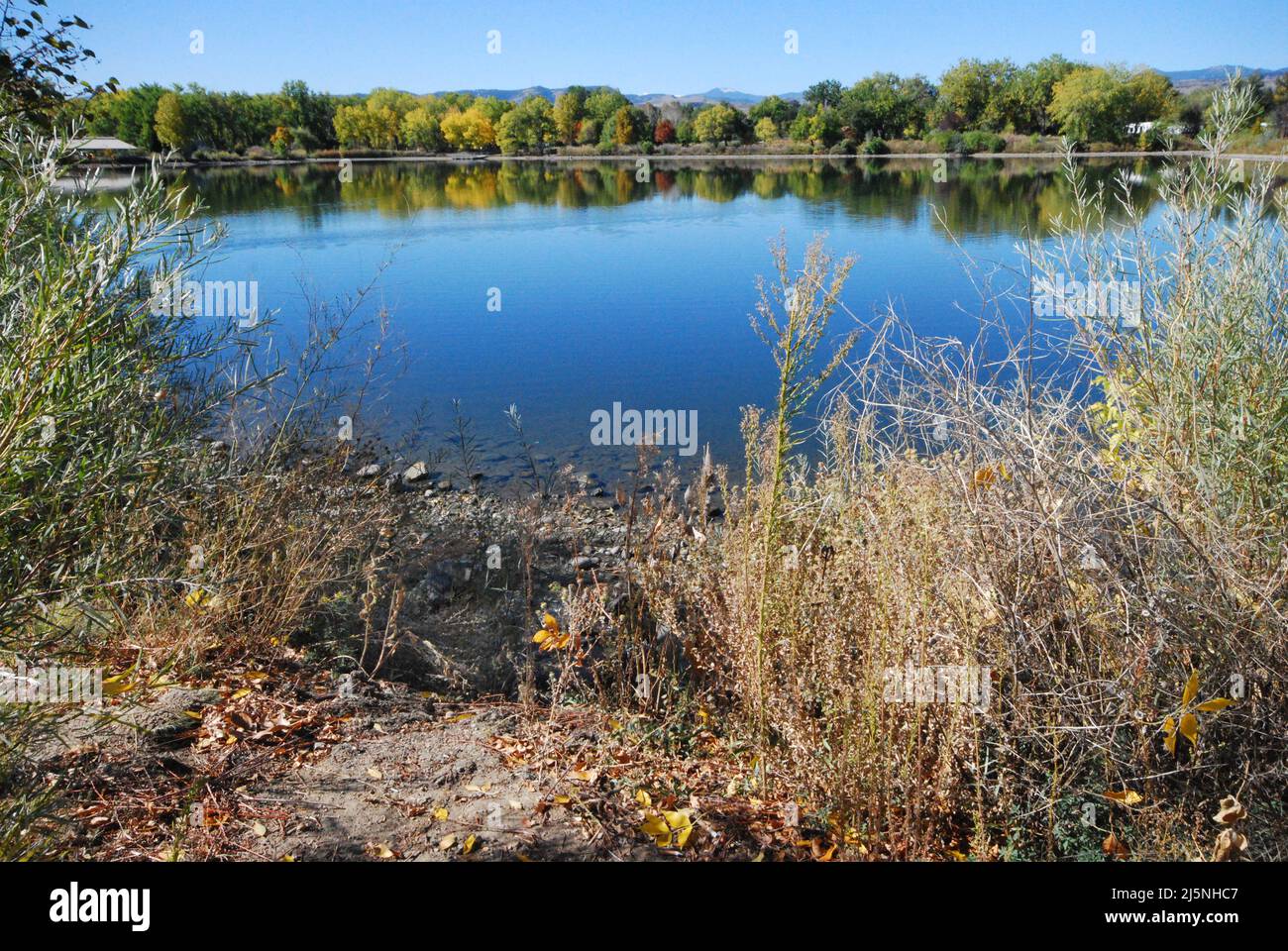 Colorado lake landscape in Wheat Ridge with vegetation and reflections Stock Photo