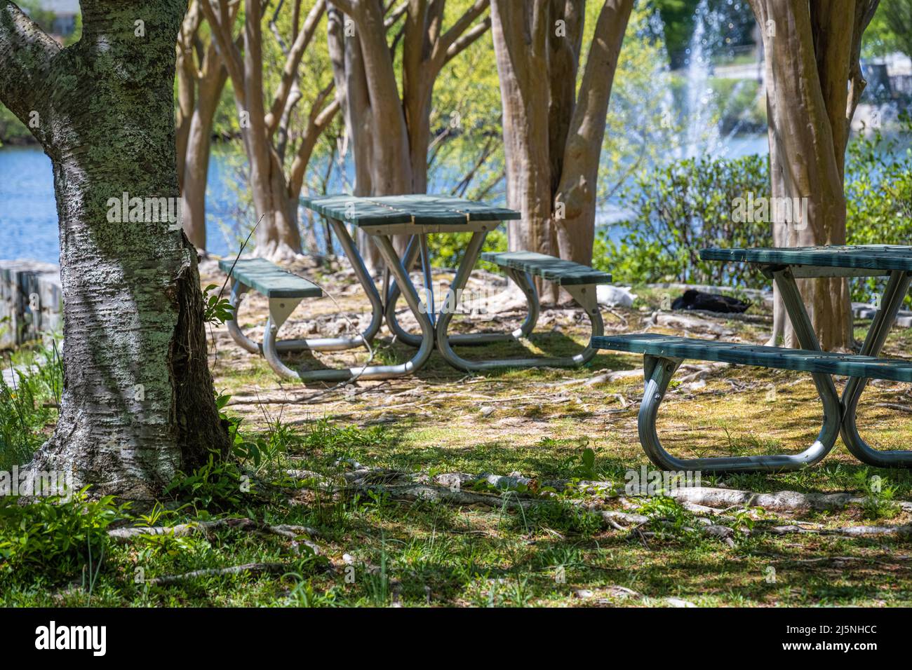 Picnic tables near the lake fountain at Briscoe Park in Snellville, Georgia, just east of Atlanta. (USA) Stock Photo