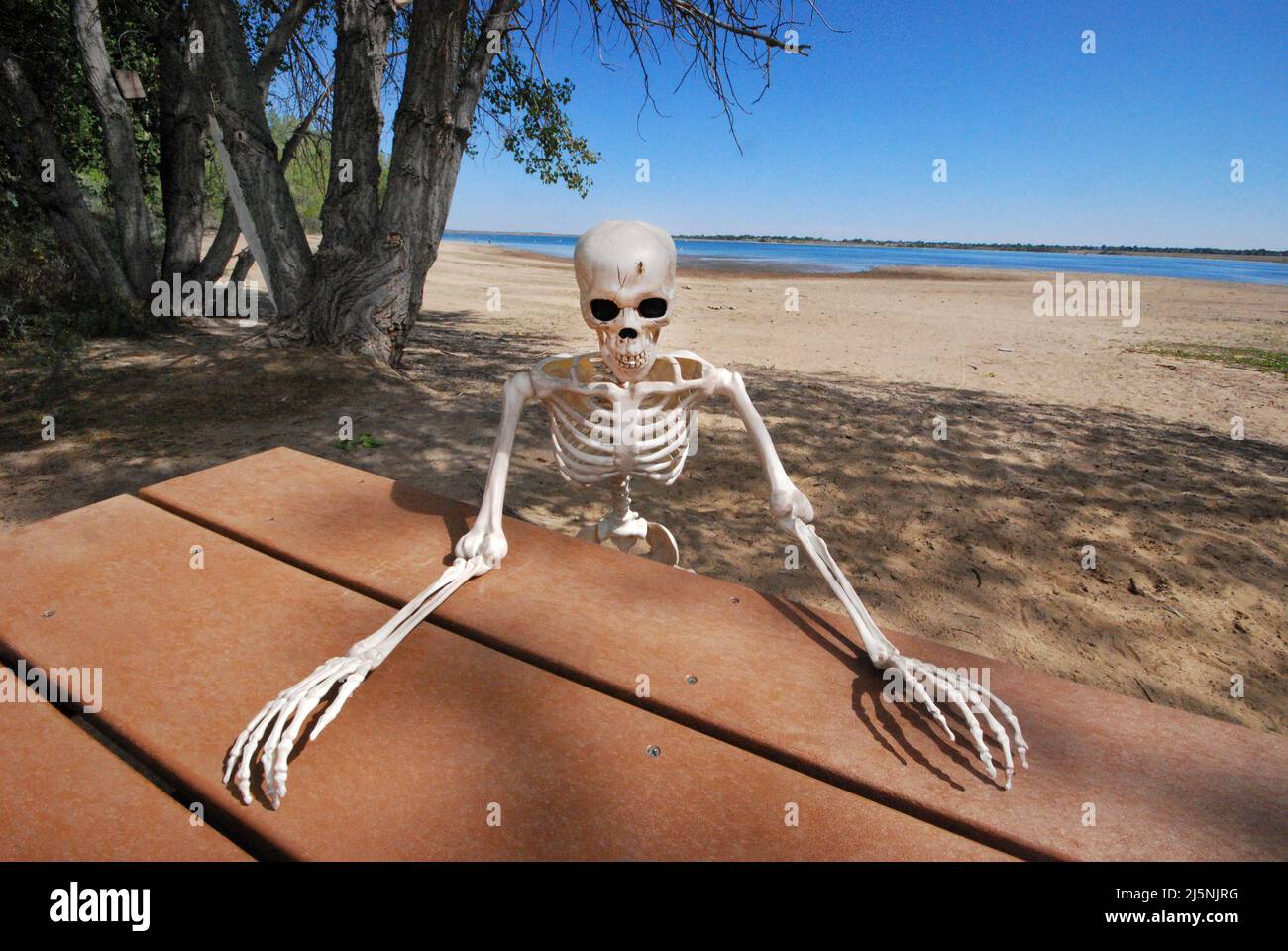 Skeleton sitting down at picnic table on shore of drought stricken lake Stock Photo