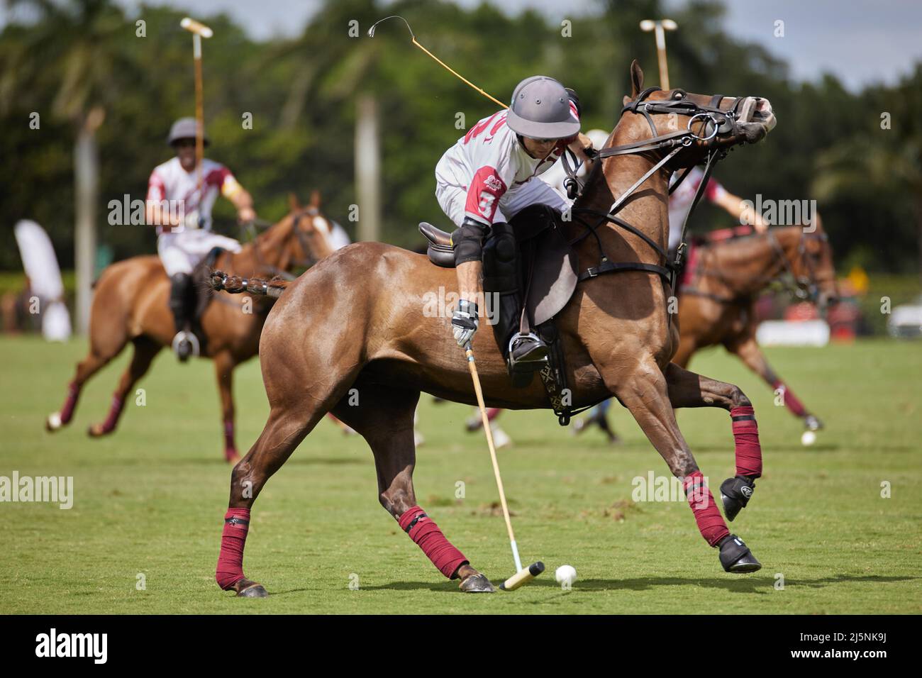 Wellington, United States. 24th Apr, 2022. 3 Matias Torres Zavaleta from  Pilot Polo seen in action during U.S. Open Polo Championship 2022, Final at  The International Polo Club Palm Beach, Florida. Final
