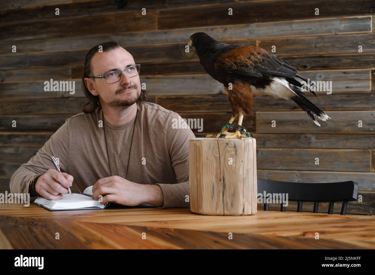 Man is working, writing with wild bird at home by the table. Making noted, memories, diary with eagle as pet. Unusual animals at home. Human Stock Photo