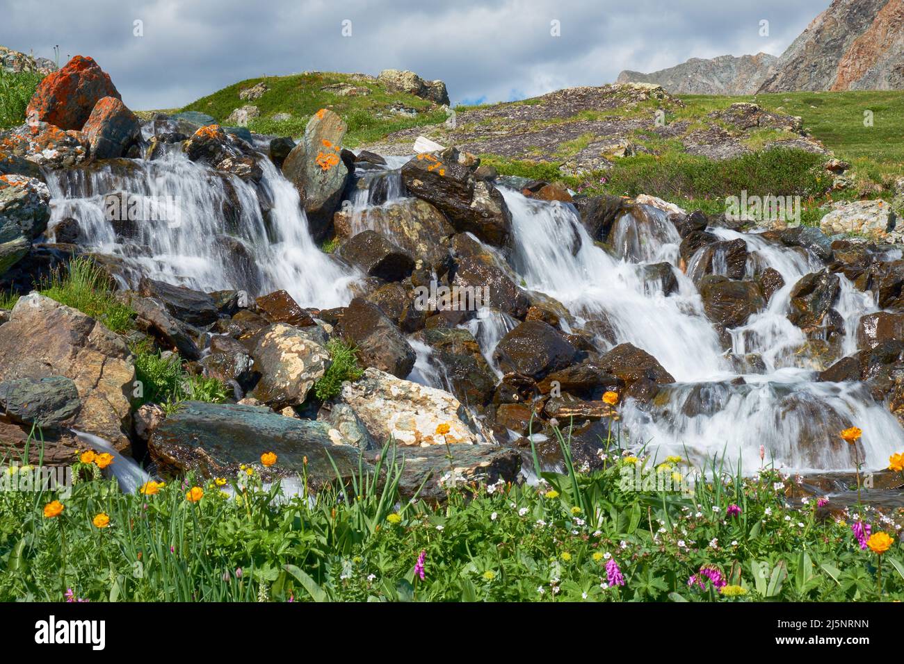 Waterfall on Altai river Yarlyamry. The cascade on the stream is surrounded by alpine forb meadows. Located on Kuray mountain range. Siberia, Russia. Stock Photo