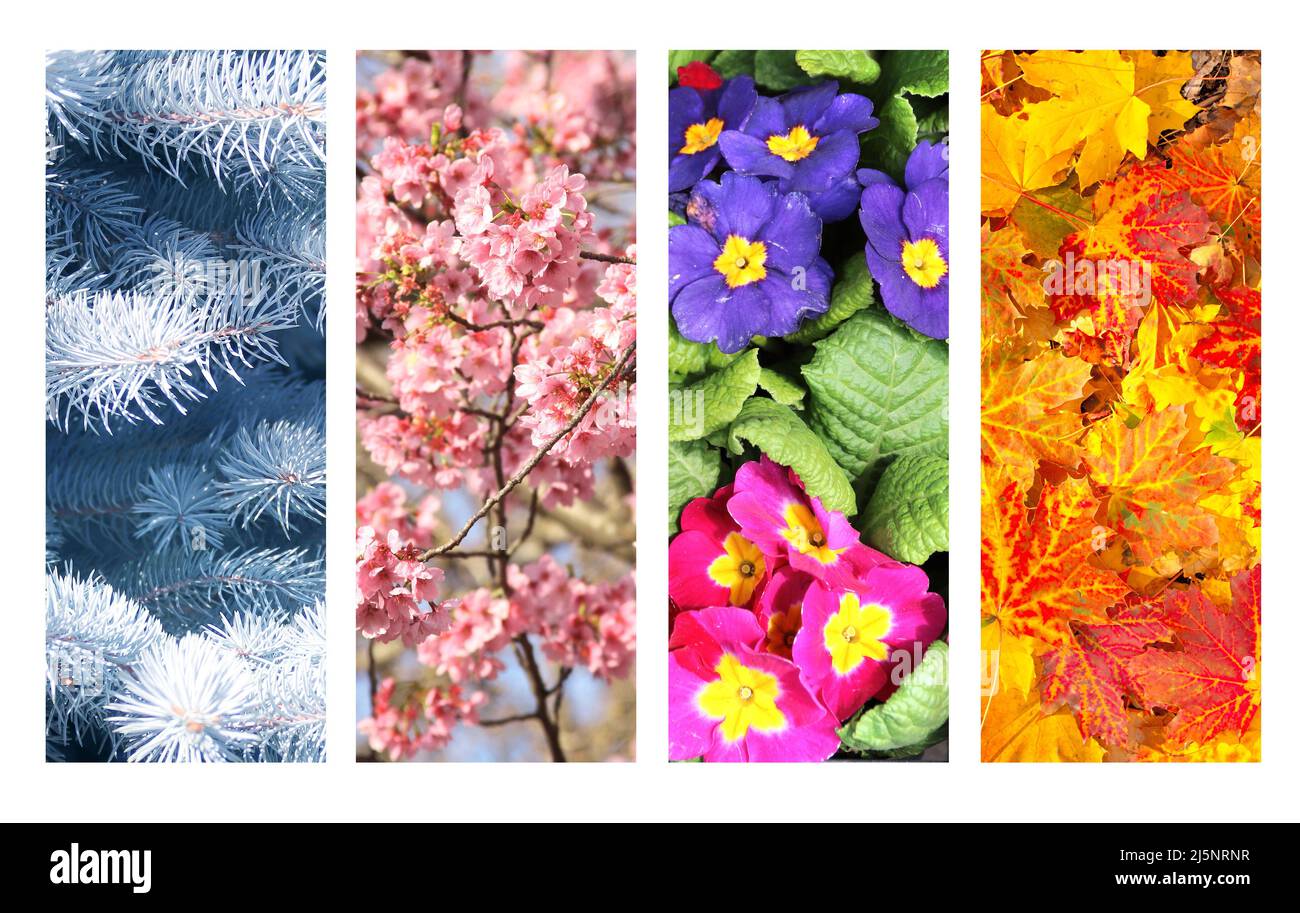 Four seasons of year. Set of vertical nature banners with winter ...