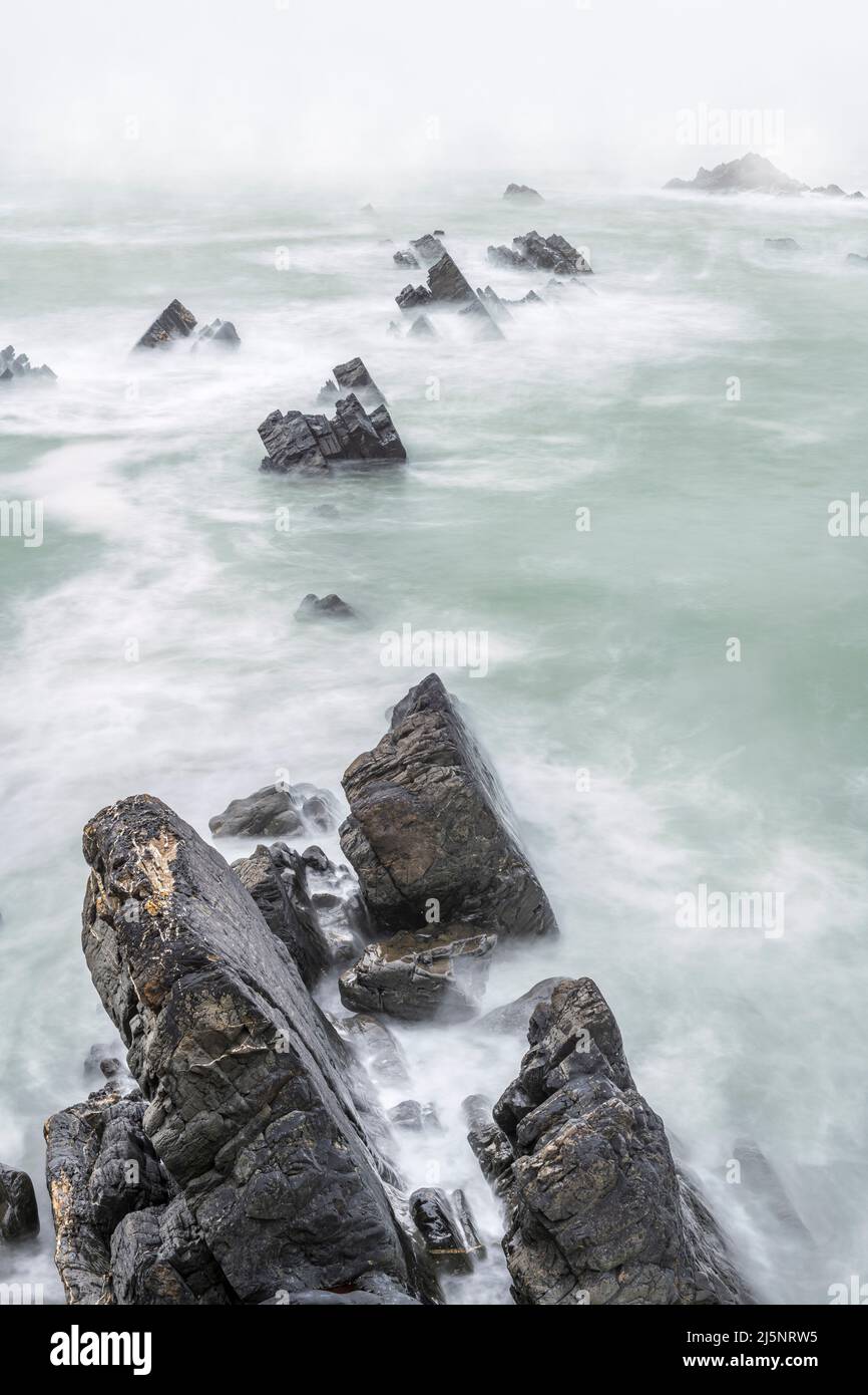 Through drifting mist the incoming tide crashes against the slabs of rock that make up the Crackington Formation at Hartland Quay. The Quay is located Stock Photo