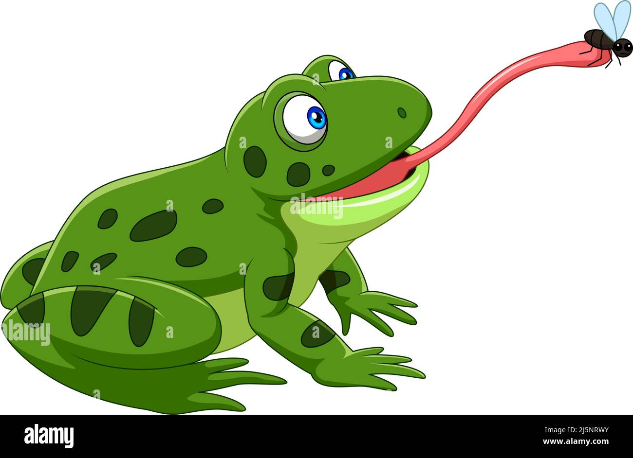 Cartoon frog catching a fly Stock Vector