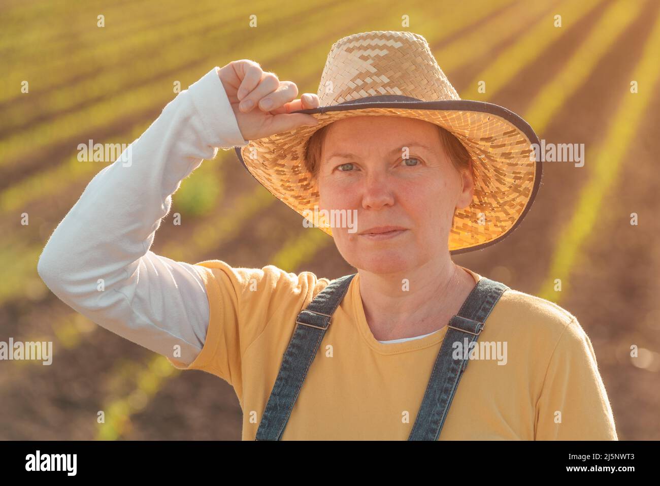 Portrait of female corn farmer in cultivated maize field wearing straw ...