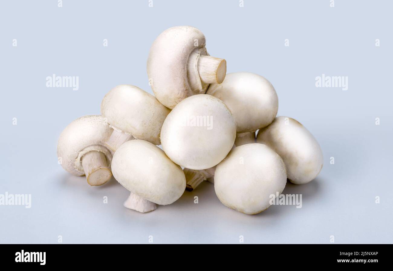 Fresh champignons isolated on gray background. side view. champignons healthy and tasty mushrooms. Champignon mushrooms close-up Stock Photo