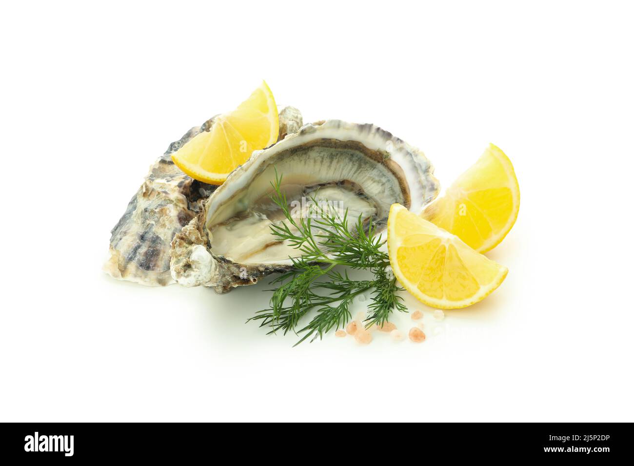 Concept of delicious seafood, oyster, isolated on white background Stock Photo