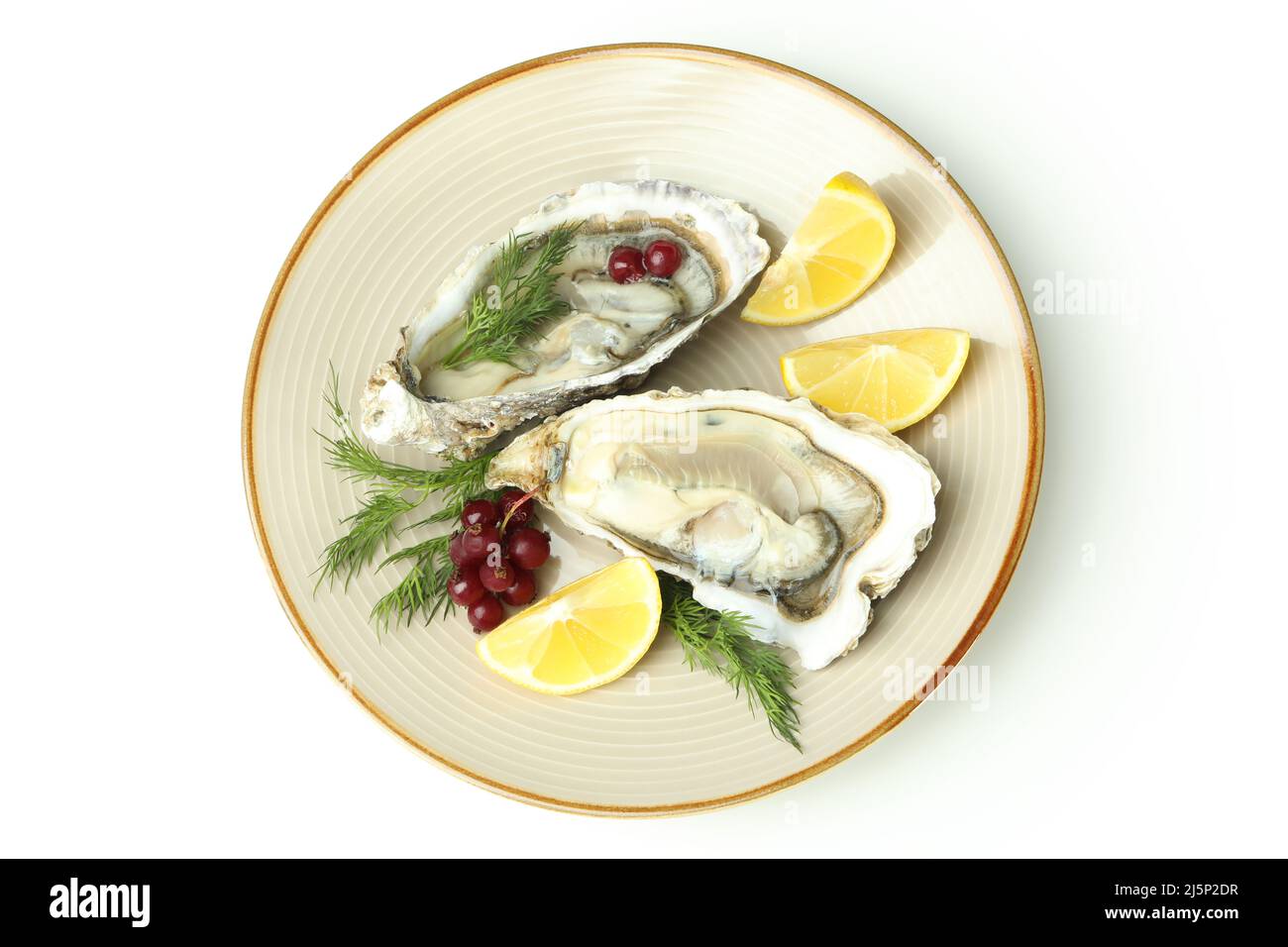 Concept of delicious seafood, oysters isolated on white background Stock Photo