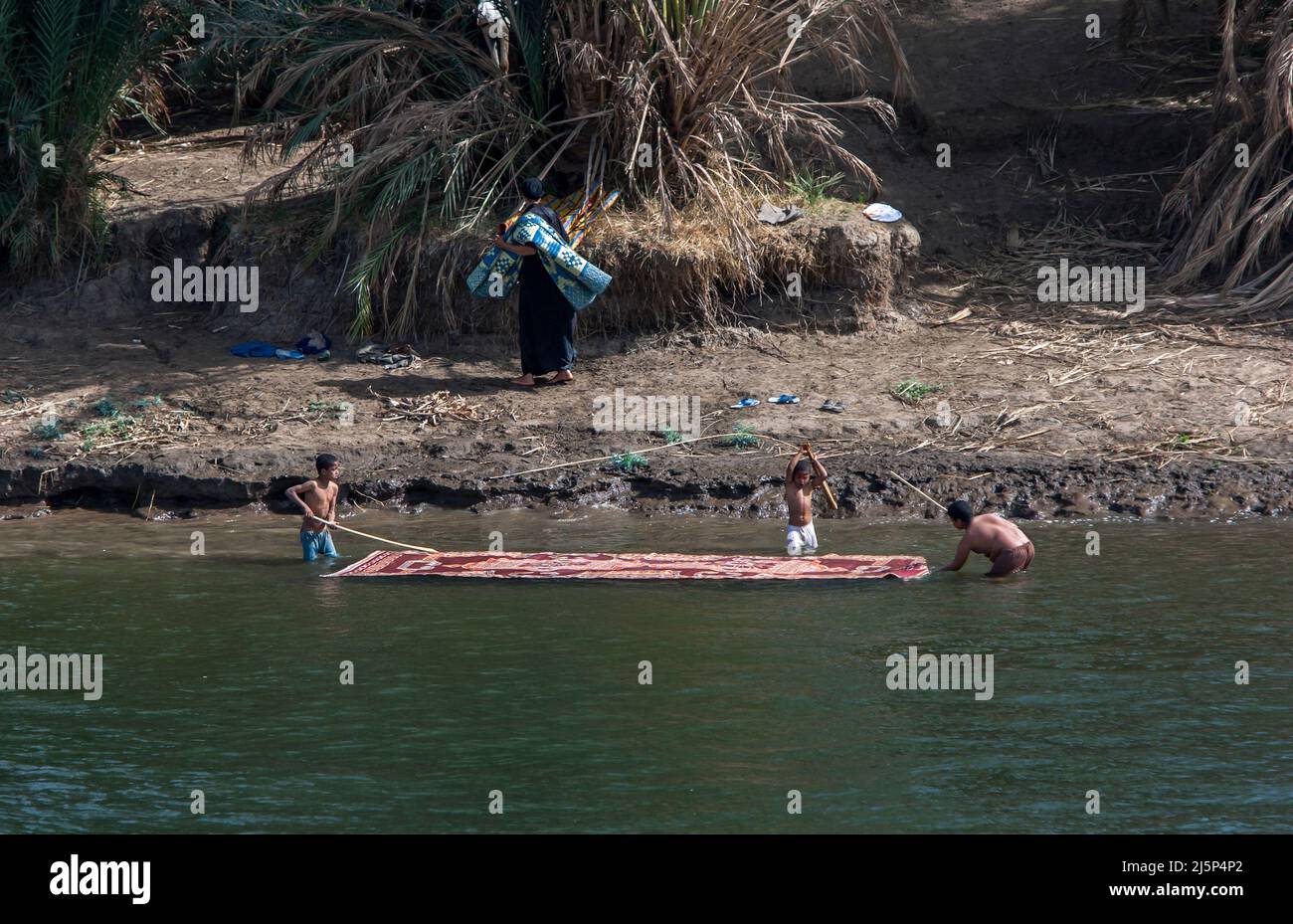 Boys using wooden sticks wash an Egyptian rug in the River Nile south of Luxor in central Egypt. Stock Photo