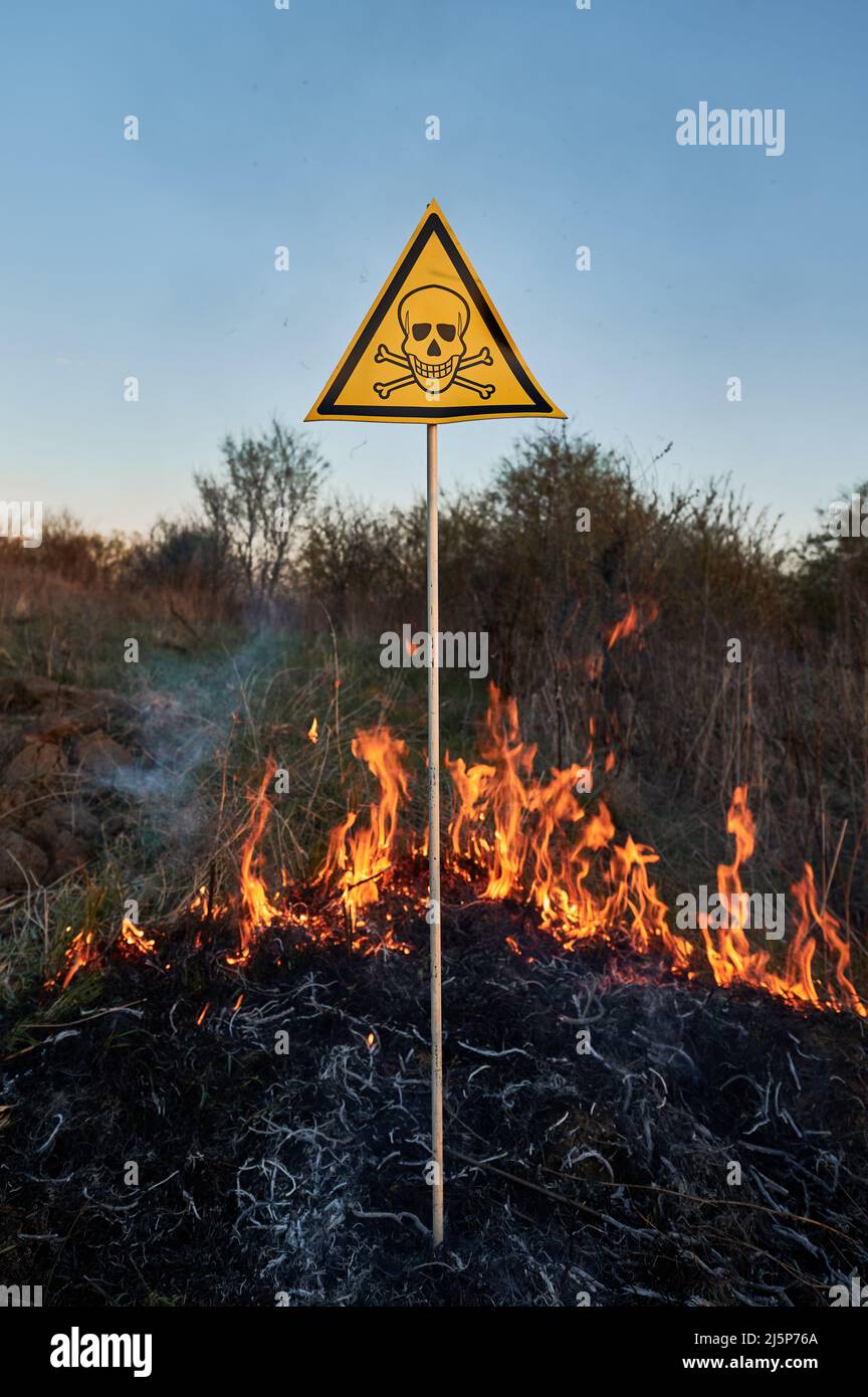 Burning dry grass and poison toxic sign. Yellow triangle with skull and crossbones sign warning about poisonous substances and danger in field with fire. Ecology, hazard, natural disaster concept. Stock Photo
