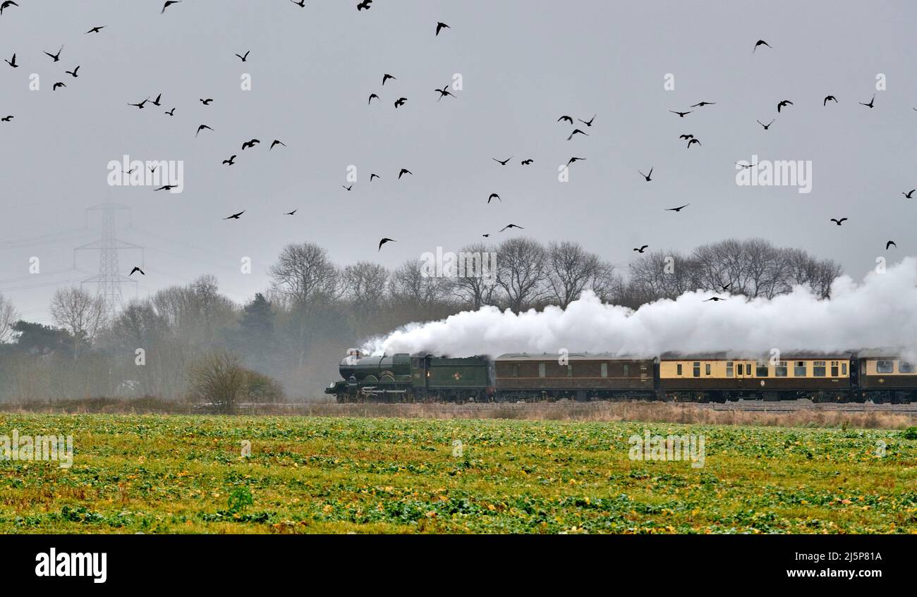 Special steam train on UK mainline, near Sherburn in Elmet, West Yorkshire, northern England, hauled by Great Western locomotive Clun Castle Stock Photo