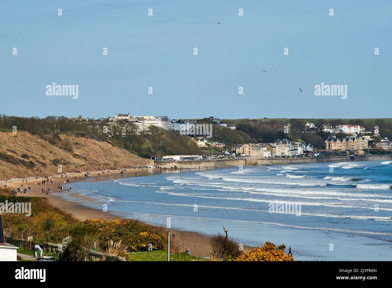 Looking north along the beach to Filey Town, Filey Bay, Yorkshire east coast, northern England, UK Stock Photo