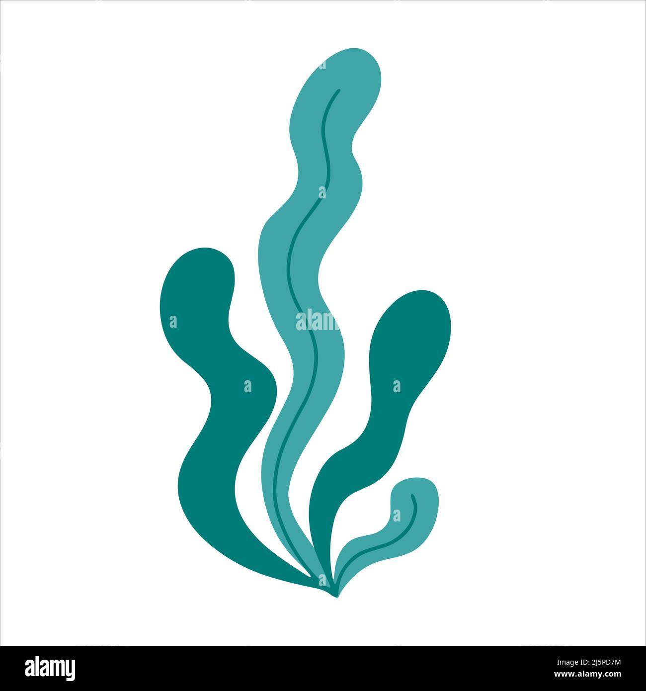 Simple seaweeds hand drawn in doodle style Stock Vector Image & Art - Alamy