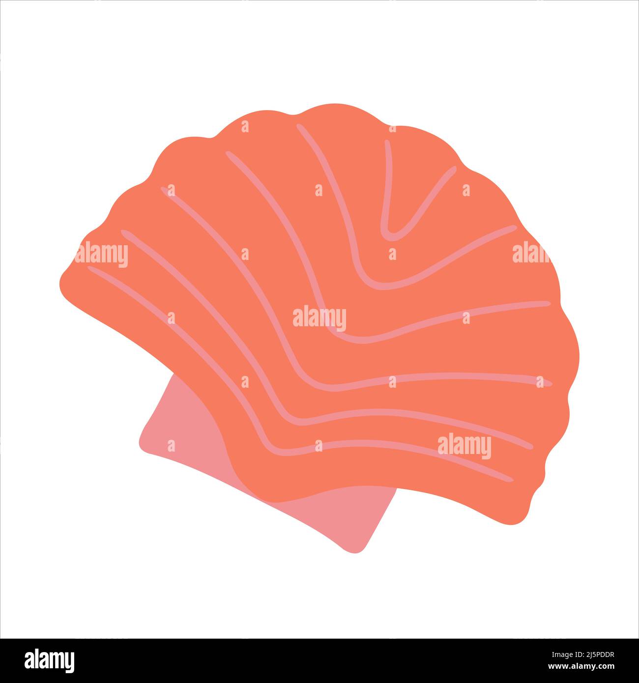 Seashell hand drawn doodle style. Vector illustration Stock Vector