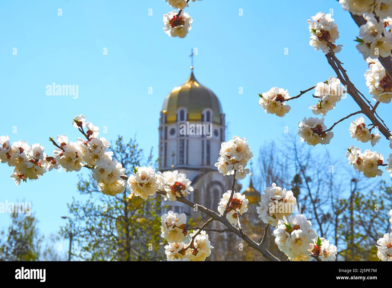 Frame of pink and tender flowers and the golden dome of the church, easter sky Stock Photo