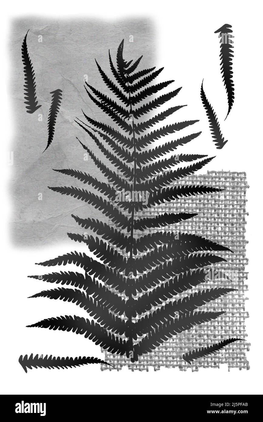 Botanical composition with abstract elements. Prints of fern leaf, scans of paper and burlap are used. Botanical Poster. Perfect for home decor, cover Stock Photo