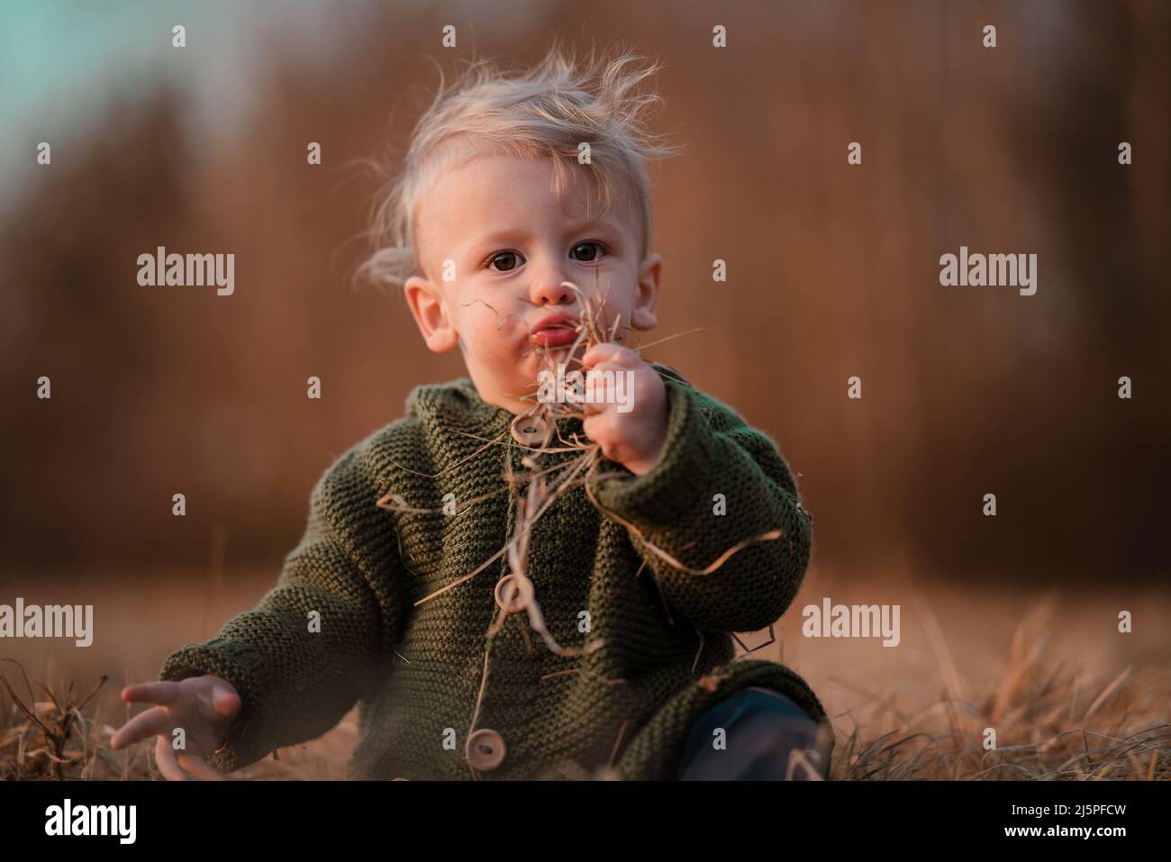 Little boy on walk in forest, looking at camera Stock Photo - Alamy