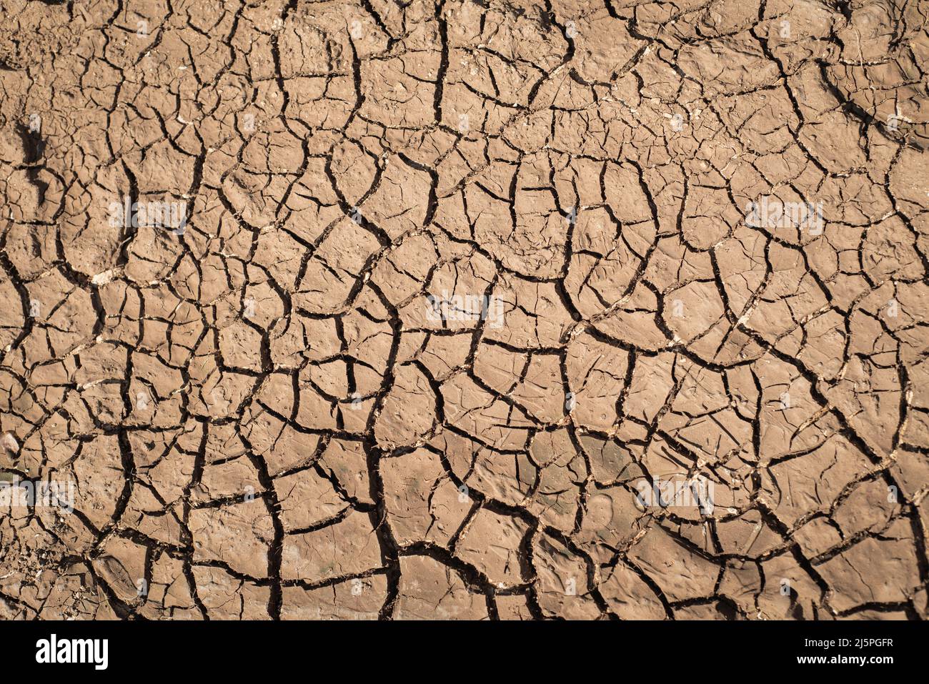 Cracked and dried soil appearance. Global warming and climate change concept and background. Stock Photo