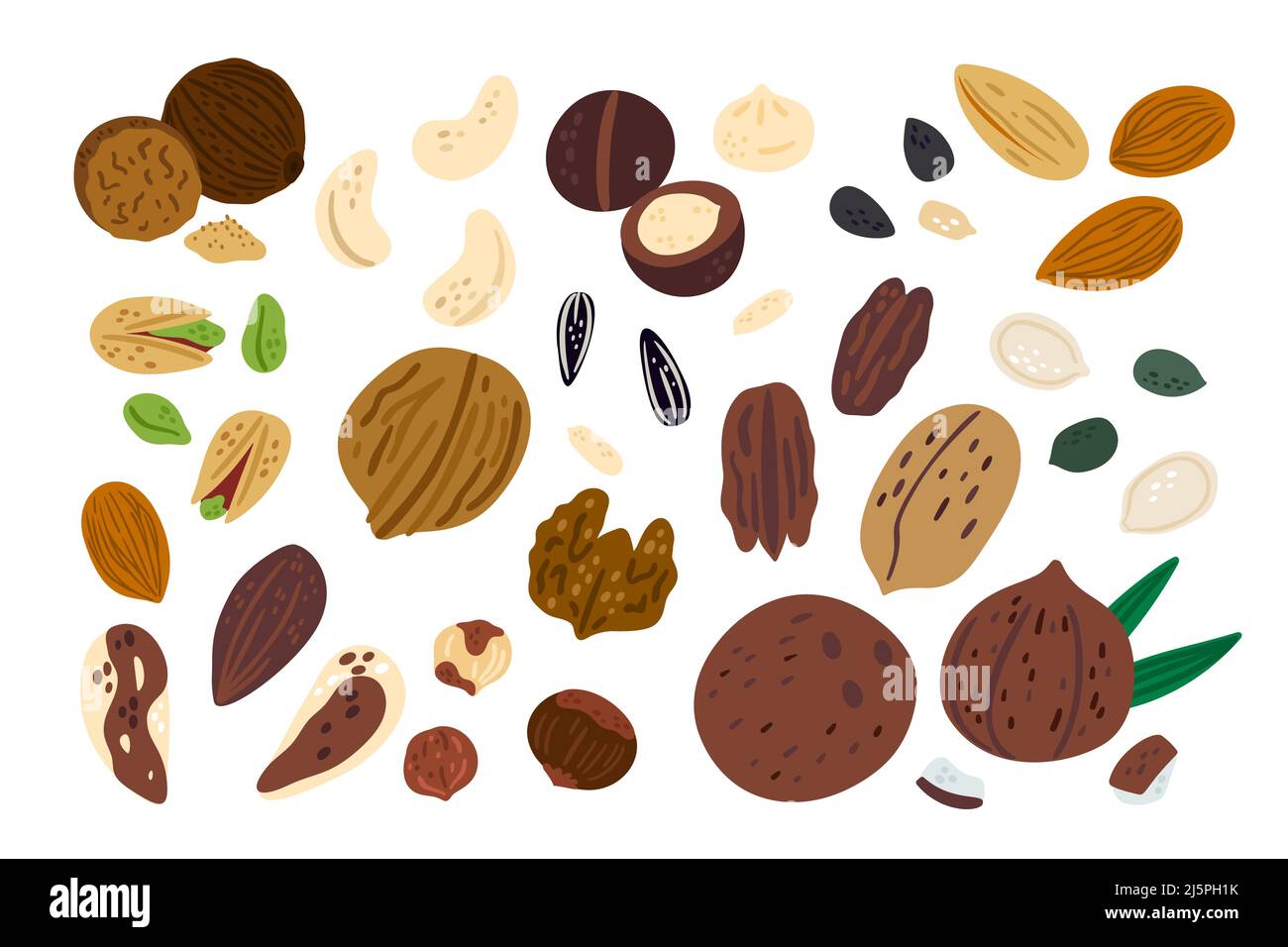 Cartoon nuts. Funny superfood. Different types of dry fruits. Walnut or  hazelnut. Healthy snacks. Isolated almond and pistachio. Pumpkin or  sunflower Stock Vector Image & Art - Alamy