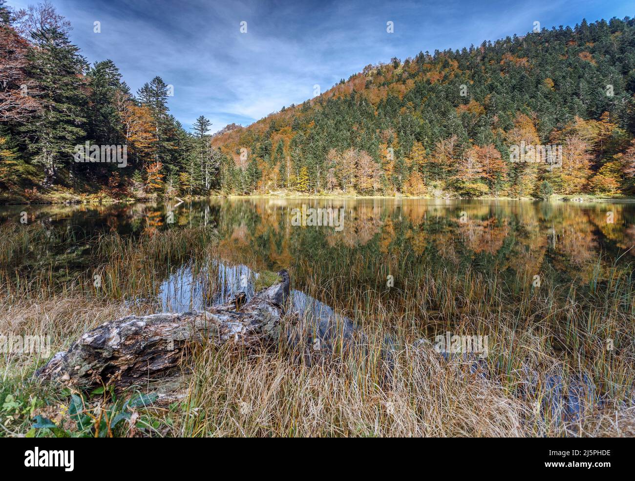 Reflected forest on lake in autumn, Pyrenees ariegeoises,France Stock Photo