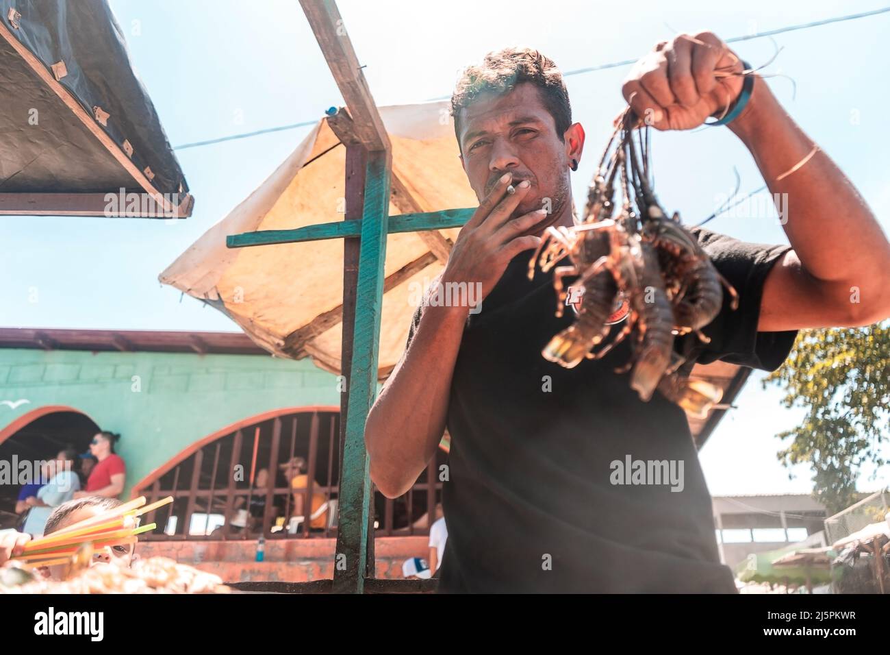 lobster smoking cigarette Latino fisherman showing off a freshly caught tethered lobster while smoking  a cigarette. Documentary type photo of real people Stock Photo