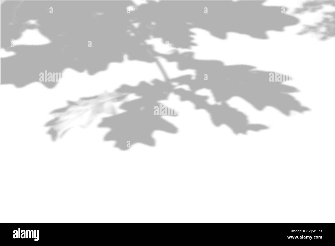 Summer background shadows from the foliage of a tree oak on a white ...