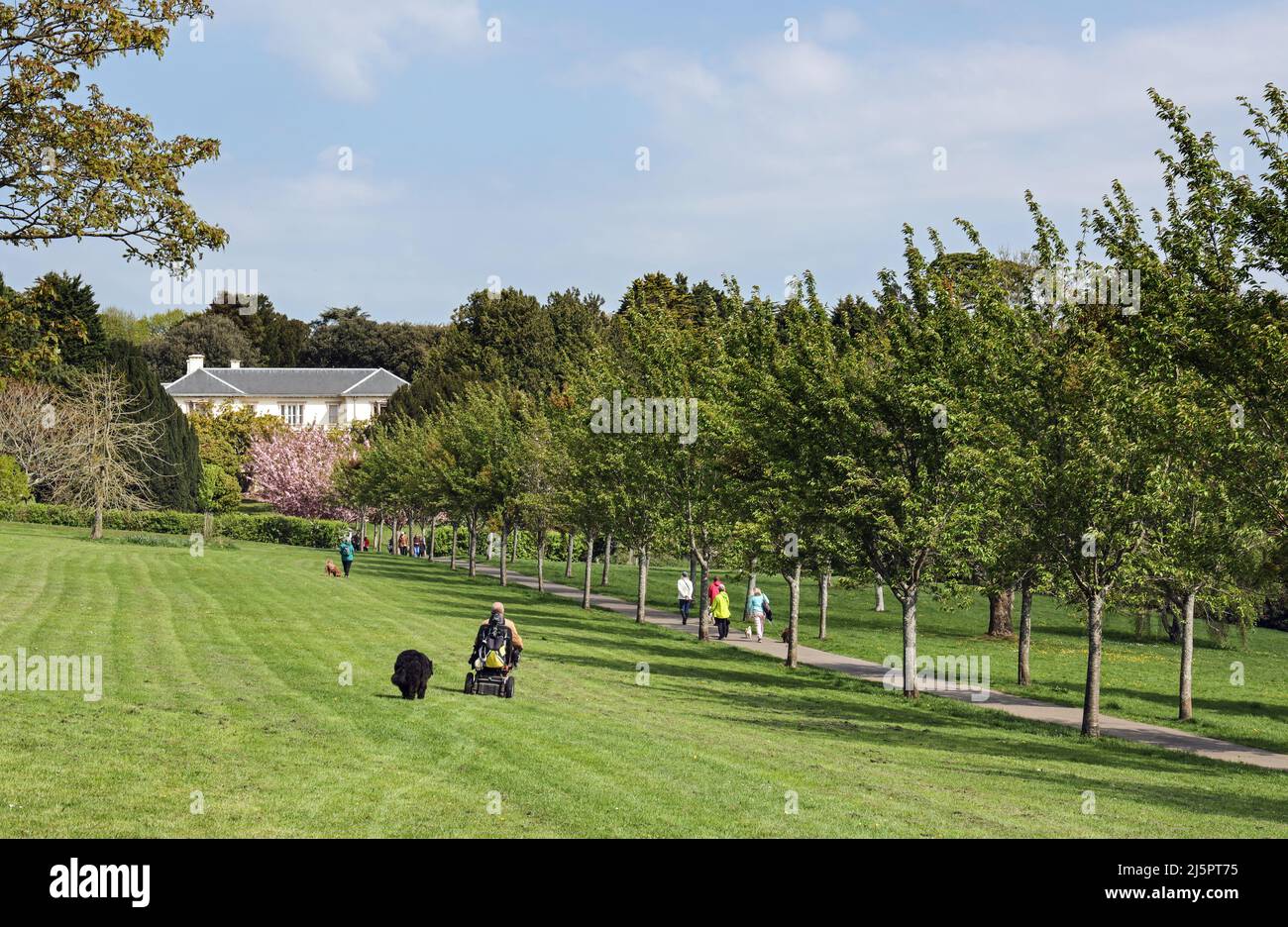 Visitors enjoy the sunshine of the grounds of Pounds House within Central Park, Plymouth on a spring day Stock Photo