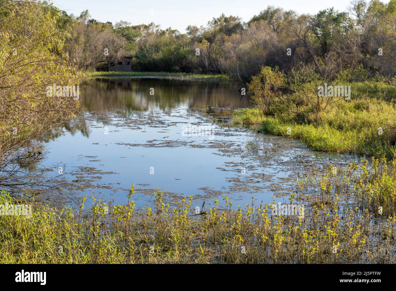 A resaca or oxbow lake and bird blind in the Sabal Palm Sanctuary, a nature reserve near Brownsville, Texas. Stock Photo