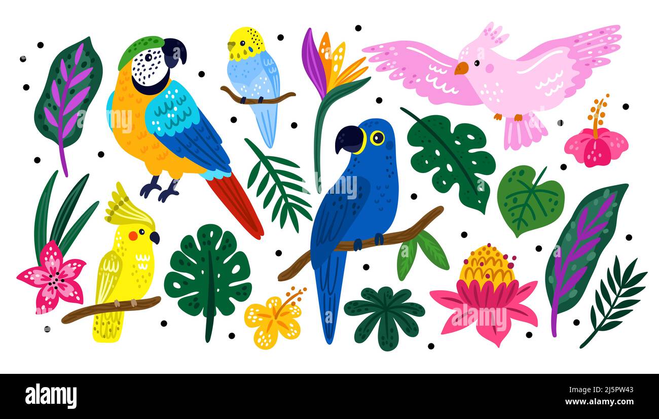 Animal rainforest Cut Out Stock Images & Pictures - Alamy Animal rainforest Cut Out Stock Images & Pictures - Alamy