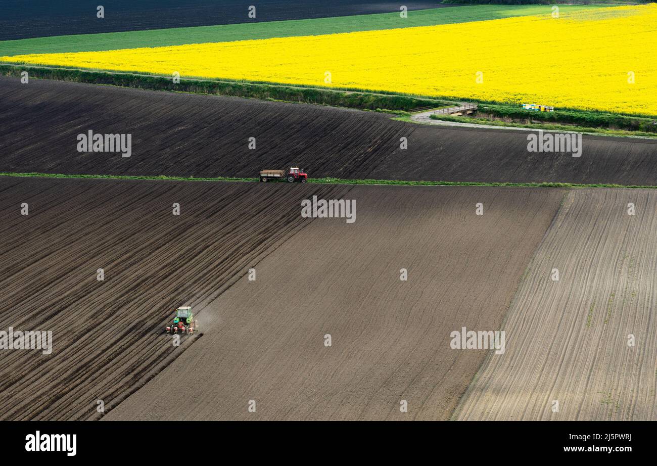 Farmer with tractor seeding - sowing crops at agricultural fields in ...