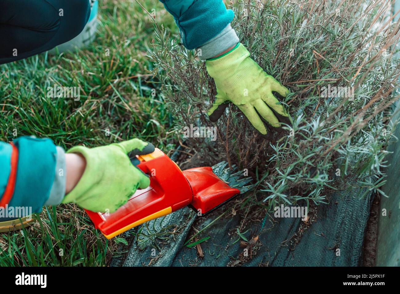 Electric clippers garden deals