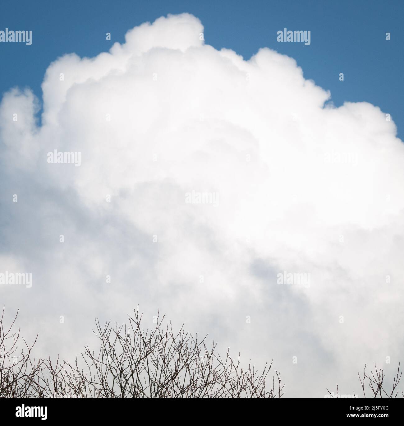 My Image 11