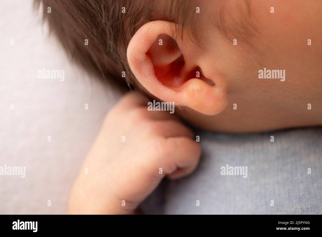 Small hand, head and ear of a newborn baby. Studio macro photography.  Stock Photo