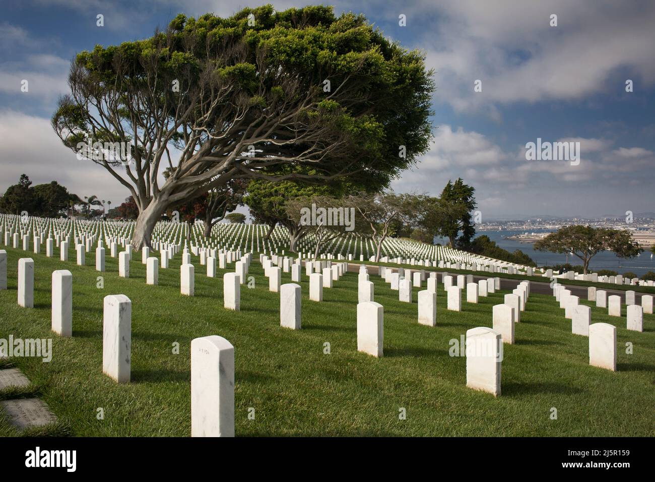 Panoramic view of the veterans Fort Rosecrans National Cemetery in the Naval Base Point Loma Stock Photo