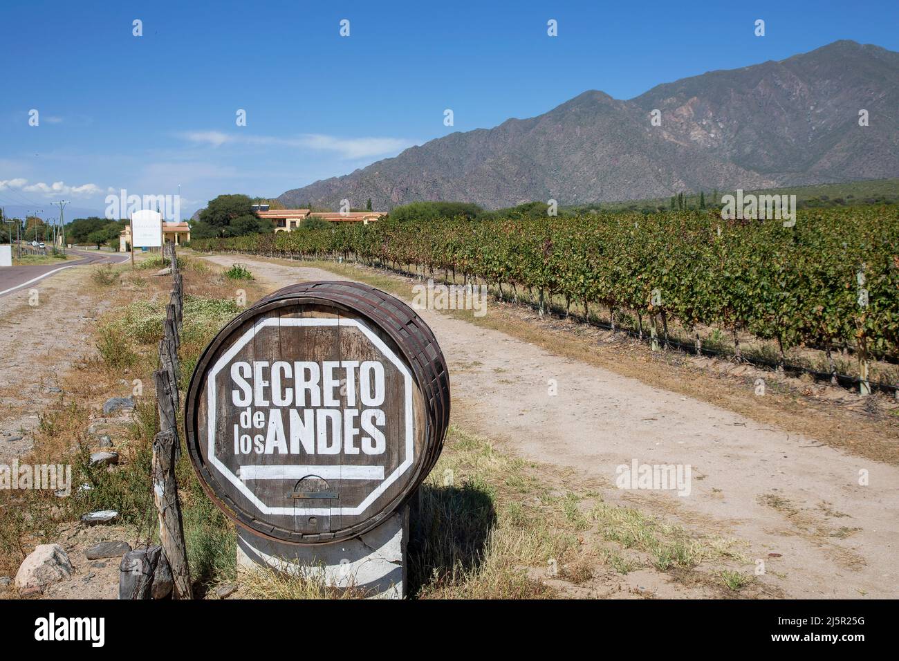 Argentina, vineyard near Salta Stock Photo