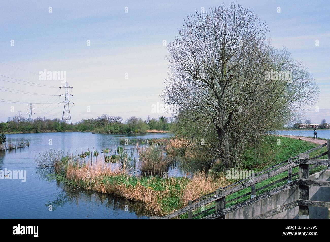 Reservoirs at Walthamstow Wetlands in springtime, Walthamstow, North London, South East England Stock Photo