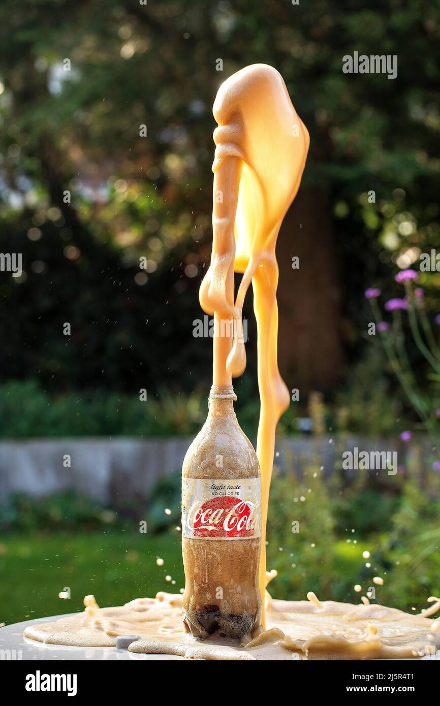 Coca-cola splashes out of the bottle after Mentos sweets were added to the  carbonated cola liquid Stock Photo - Alamy