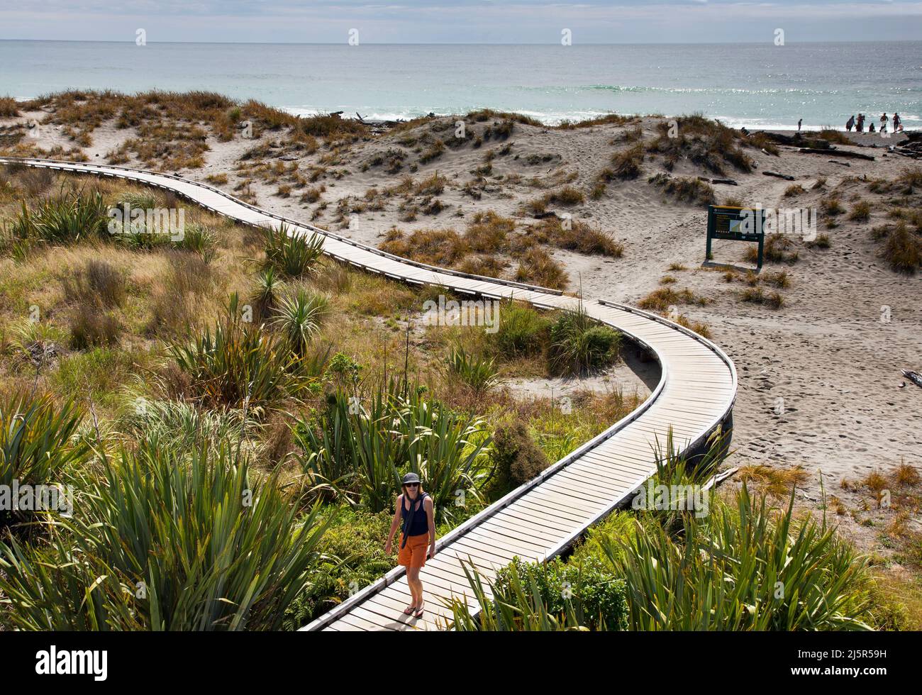 New Zealand, south island, westcoast Punakaiki boardwalk to the
