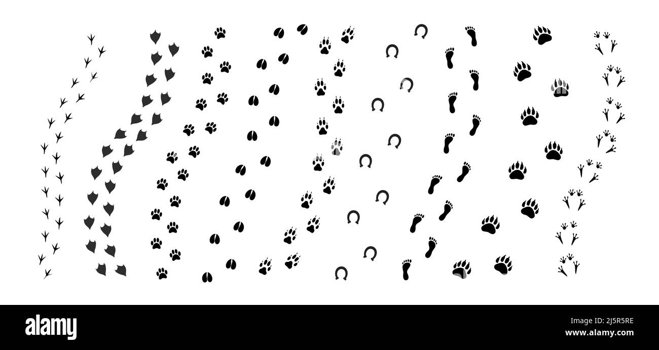 Vector black set bundle of different animals foot print path tracks isolated on white background Stock Vector