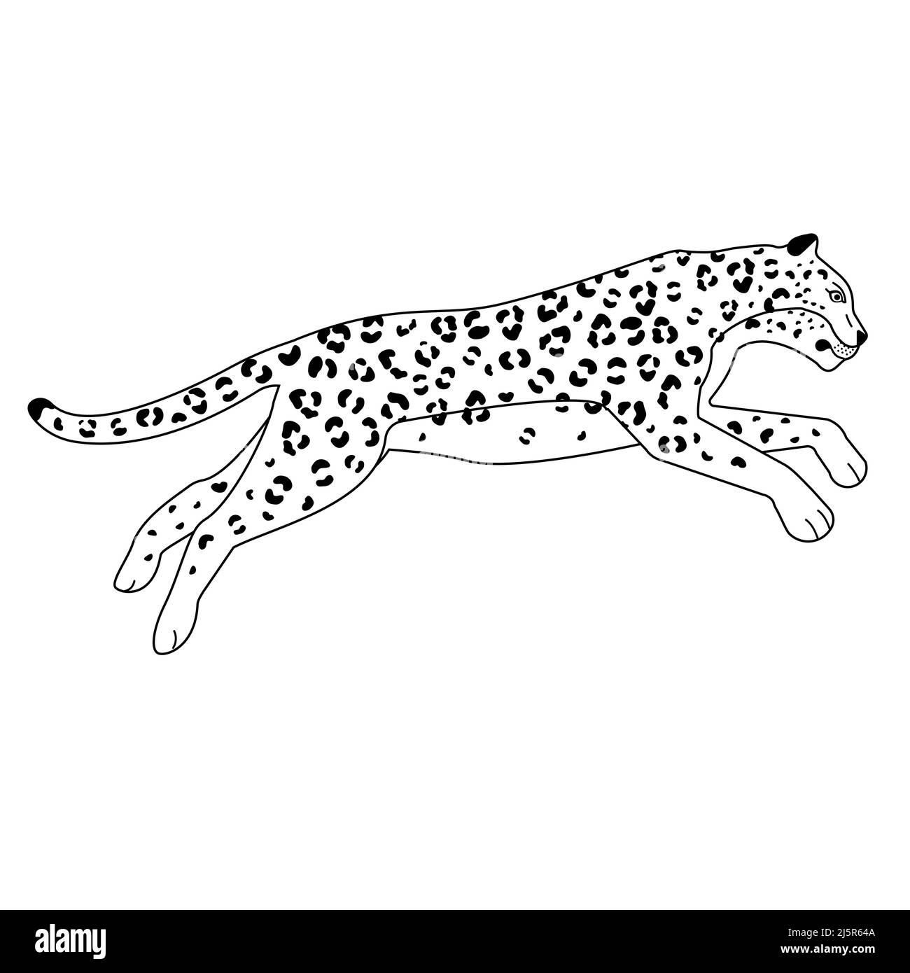 Vector flat outline leopard isolated on white background Stock Vector
