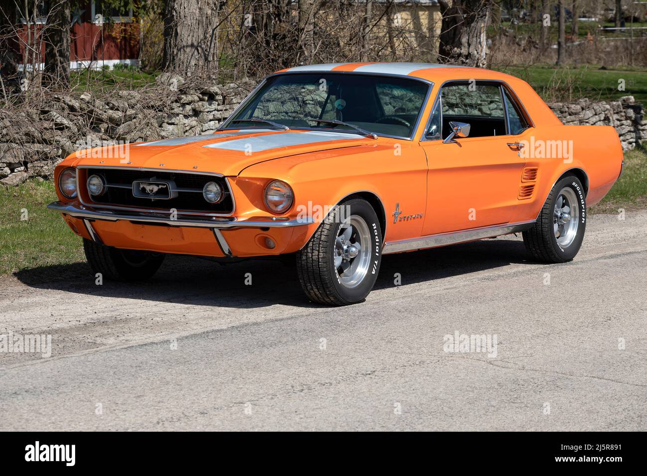 1967 Ford Mustang on pavement. Stock Photo