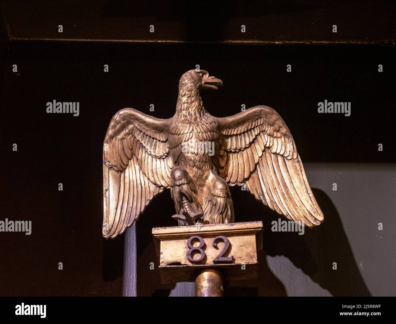A French Napoleonic eagle in the museum at Caernarfon Castle