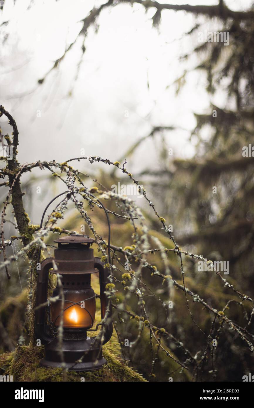 Rustic Old Oil Lantern in Mossy Misty Enchanted Forest Stock Photo