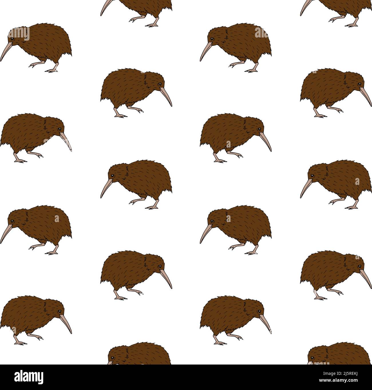 Vector seamless pattern of colored hand drawn doodle sketch kiwi bird isolated on white background Stock Vector