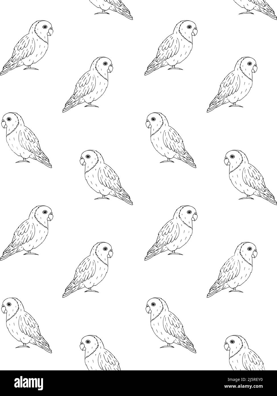 Vector seamless pattern of hand drawn doodle sketch lovebirds parrots ...